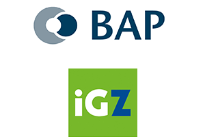 http://frise-historique-bap-igz